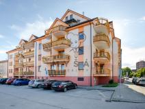 Pronájem bytu 1+kk, České Budějovice - České Budějovice 3, U Trojice, 31 m2