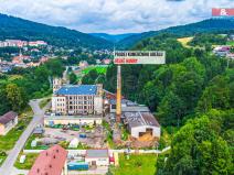 Prodej výrobních prostor, Velké Hamry, 11000 m2