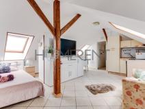 Pronájem bytu 1+kk, Praha - Bubeneč, U akademie, 39 m2