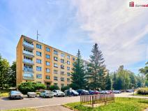 Prodej bytu 3+1, Sokolov, Švabinského, 69 m2