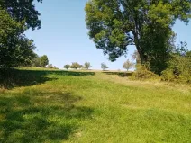 Dražba louky, Kunratice, 12882 m2