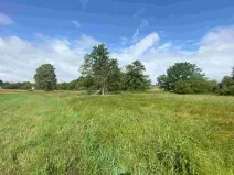Dražba louky, Jankov, 1800 m2