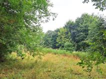 Pronájem zahrady, Krušovice, 2000 m2