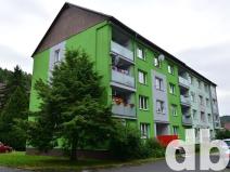 Pronájem bytu 1+kk, Kraslice, Družstevní, 20 m2