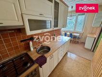 Pronájem bytu 3+1, Zlín, Dřevnická, 80 m2