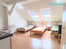 Pronájem bytu 1+kk, Plzeň, Lindauerova, 25 m2