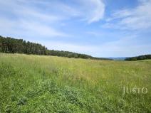 Prodej komerčního pozemku, Dobev - Velké Nepodřice, 8980 m2