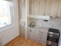 Pronájem bytu 1+1, Ústí nad Orlicí - Hylváty, Třebovská, 41 m2