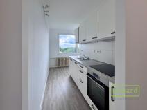 Pronájem bytu 2+1, Veselí nad Lužnicí, K Zastávce, 59 m2