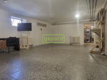 Pronájem skladu, Brno, Kolaříkova, 123 m2