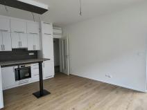Pronájem bytu 2+kk, Brno - Staré Brno, Nové sady, 50 m2
