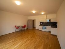 Pronájem bytu 1+kk, Olšany, 45 m2