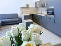 Prodej bytu 2+kk, Liberec - Liberec II-Nové Město, Na Poříčí, 52 m2