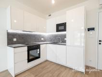 Pronájem bytu 1+kk, Praha - Žižkov, Malešická, 45 m2