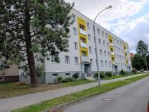 Pronájem bytu 3+1, Plzeň, Pod Lesem, 73 m2
