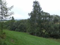 Prodej pole, Heřmánkovice, 5268 m2