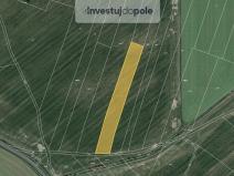 Prodej pole, Němčice, 1728 m2