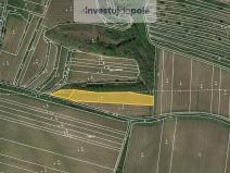 Prodej pozemku, Dolní Věstonice, 747 m2