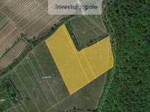 Prodej louky, Horní Věstonice, 24706 m2
