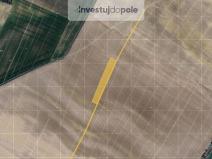 Prodej pole, Sudovo Hlavno, 5244 m2