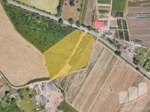 Prodej pole, Plzeň - Severní Předměstí, 11881 m2
