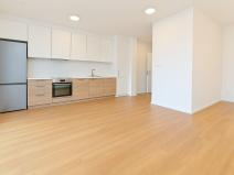 Pronájem bytu 1+kk, Brno - Černovice, Mírová, 33 m2