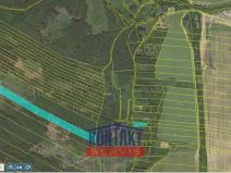 Prodej lesa, Městečko Trnávka, 17620 m2