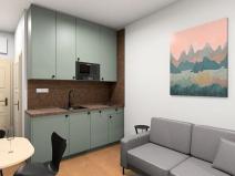 Pronájem bytu 1+kk, Praha - Dejvice, Studentská, 16 m2
