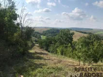 Prodej zahrady, Kobeřice u Brna, 2052 m2