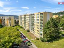 Prodej bytu 2+kk, Ústí nad Labem - Krásné Březno, Žežická, 47 m2