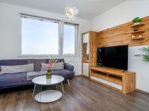 Prodej bytu 1+1, Praha - Hostivař, plukovníka Mráze, 45 m2