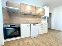 Prodej bytu 2+1, Lovosice, Nádražní, 59 m2