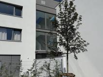 Pronájem bytu 1+kk, Ostrava - Slezská Ostrava, U Hájenky, 34 m2