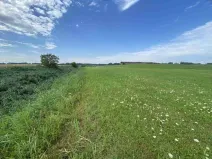 Dražba pole, Lomnice nad Lužnicí, 16506 m2