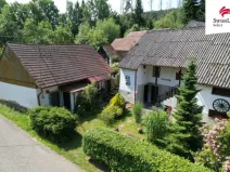 Prodej chalupy, Prosenická Lhota - Břišejov, 370 m2