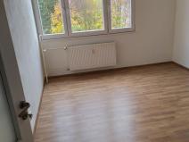 Pronájem bytu 1+1, Ostrava - Hrabůvka, Krestova, 40 m2
