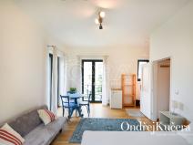 Pronájem bytu 1+kk, Praha - Nusle, Nad Nuslemi, 30 m2