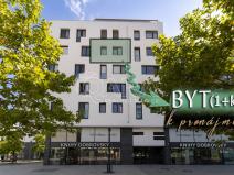 Pronájem bytu 1+kk, Ostrava - Moravská Ostrava, Jantarová, 40 m2