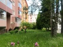 Pronájem bytu 1+kk, Ostrava - Poruba, Panelová, 25 m2