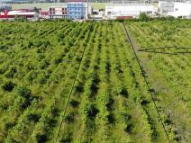 Prodej komerčního pozemku, Brno, 2465 m2