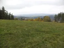 Dražba louky, Vlastiboř, 23043 m2