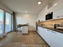 Pronájem bytu 1+kk, Brno, Sportovní, 36 m2