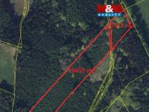 Prodej lesa, Velké Poříčí, 14479 m2