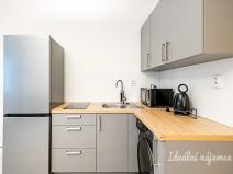 Pronájem bytu 1+kk, Praha - Žižkov, Biskupcova, 27 m2
