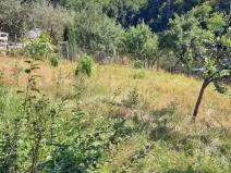 Prodej zahrady, Hlubočky, 682 m2