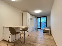 Pronájem bytu 1+kk, Praha - Smíchov, Holečkova, 8 m2