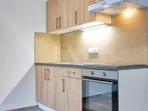 Pronájem bytu 1+kk, Plzeň, Železniční, 45 m2