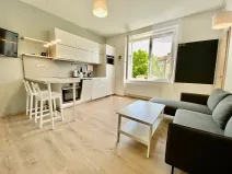 Pronájem bytu 2+kk, Brno, Ryšánkova, 51 m2
