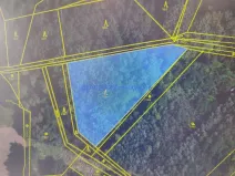 Prodej lesa, Rasošky, 5127 m2