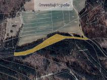 Prodej lesa, Volfířov - Brandlín, 13682 m2